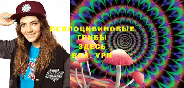 молекула духа Новокубанск