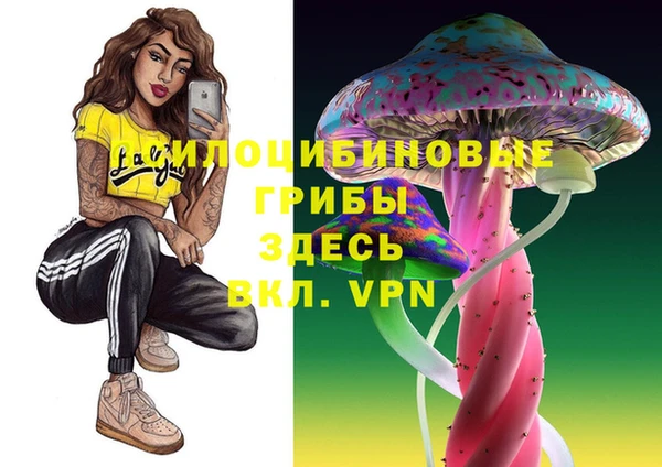 прущие крисы Новодвинск