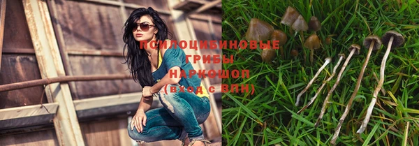 наркотики Новозыбков