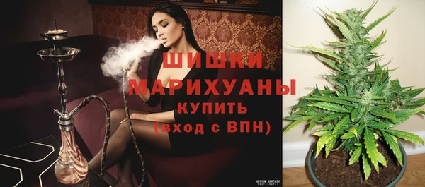 молекула духа Новокубанск