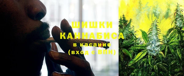 прущие крисы Новодвинск