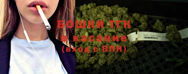 молекула духа Саки